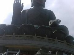 android_upload_pic-天坛大佛