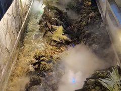 -首秀·四川料理(星耀101店)