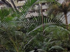 -黑龙江中医药大学附属第一医院