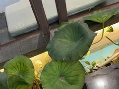 -客家班·客家菜(嘉禾金铂店)