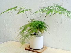 -禾康家蛋糕店