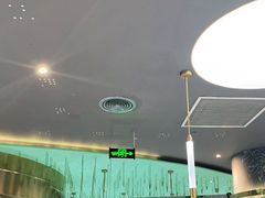 -青花椒花椒鱼(合生汇店)