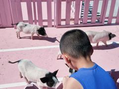 -渔岛海洋度假区