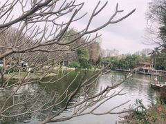 -晓港公园