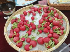 -中国人民解放军总医院