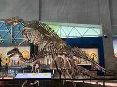 -湖南省地质博物馆