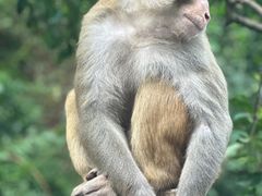 -黔灵山公园