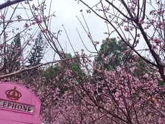 -求水山公园