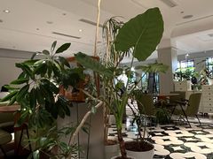 -一尺花园(安和花园店)