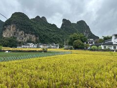 -明仕田园