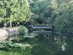 -叶家花园