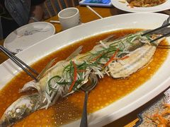 翘嘴鲌鱼-丹江渔村(望京店)