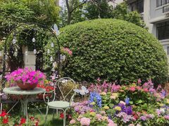 -常熟路(地铁站)