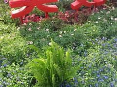 -长春公园(普阳街道)