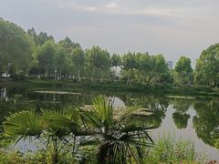 -金银湖国家城市湿地公园