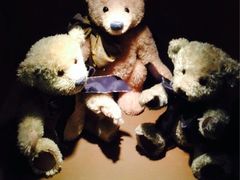 iphone_upload_pic-济州岛泰迪熊博物馆