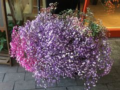 -北京同仁堂中医馆(宁波店)
