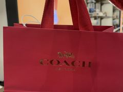 -COACH蔻驰(德基广场店)