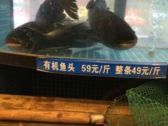 -北大荒淡水鱼馆(秀水广场店)