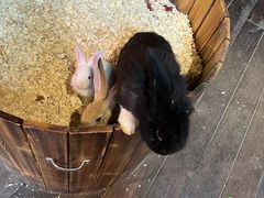 -正佳雨林生态植物园