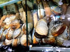 -蚝专家(北滘店)