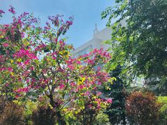 -成都中医药大学(温江校区)