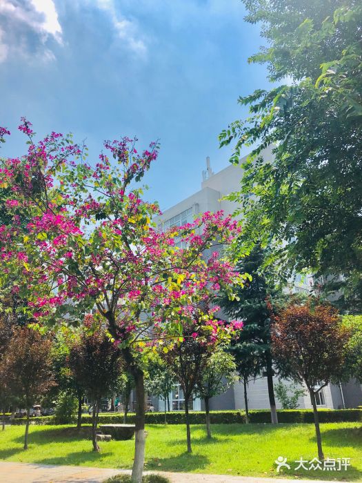 成都中医药大学(温江校区)图片