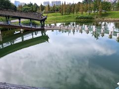 -眉山湿地公园(东坡区)
