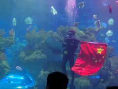 -芜湖新华联大白鲸海洋公园
