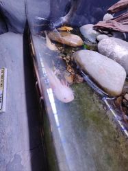 -Zoolung Zoolung动物主题公园(海信广场店)