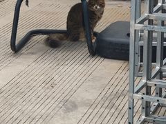 -上海海华医院