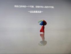 -BELLAREAL新美社