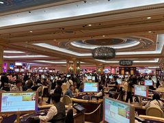 -澳门威尼斯人综合度假区