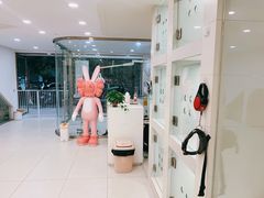 -当汪遇见喵宠物店