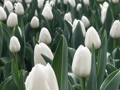 -玄武湖景区-情侣园游乐场