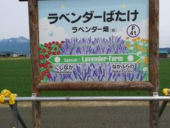 -富田农场