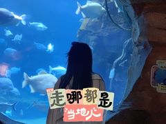 -郑州银基国际旅游度假区