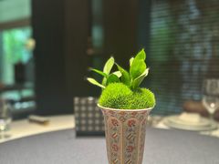 -子福慧(虹桥店)