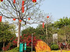 -梧桐山风景名胜区