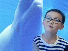 -上海海洋大学鱼文化博物馆(军工路校区)