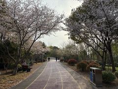-尚贤河湿地