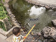 -文瀛公园