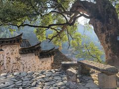 -杨家堂村