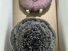 -北京中医药大学-中医药博物馆