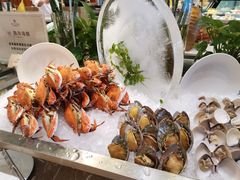 -南湖名都·景湖轩全日制餐厅·海鲜自助·东南亚风味·临湖而食