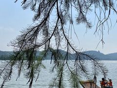 -东湖落雁景区
