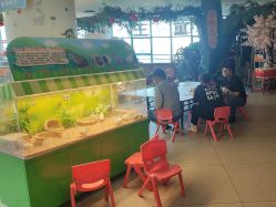 -童梦园主题乐园(天津泉汇购物广场店)