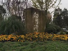 -白鹭湾湿地公园