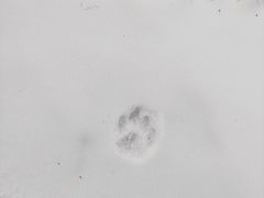 -采薇庄园四季滑雪场