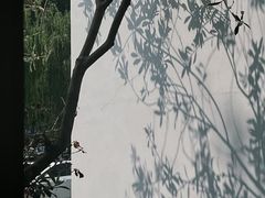 -长春藤咖啡(北园店)